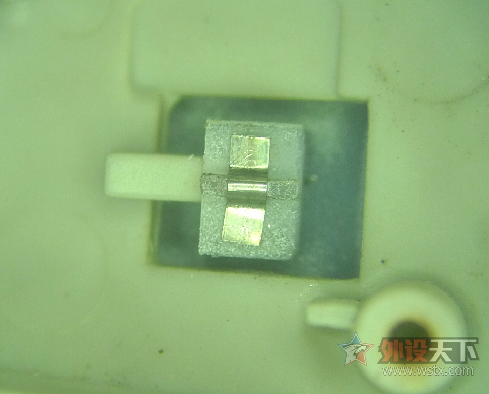 ��һֻ���raw