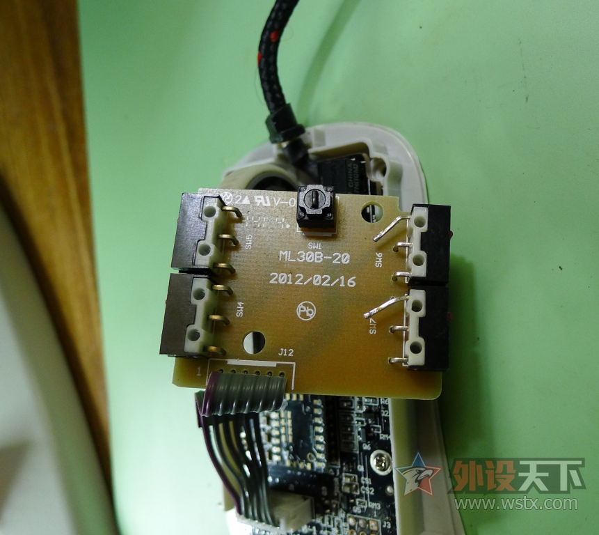 ��һֻ���raw