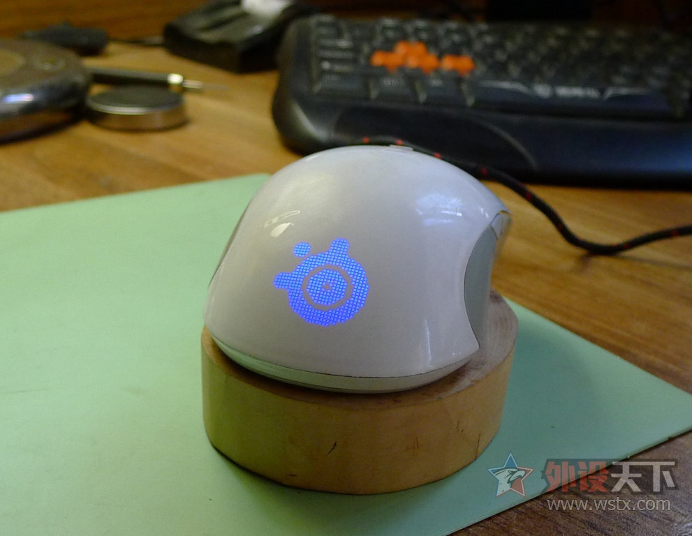 ��һֻ���raw