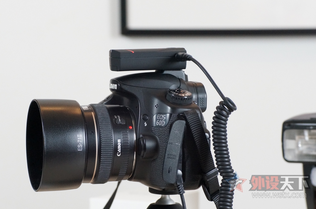 ��ɹ����Nice��ʱ�����ء���רΪ���谮������������