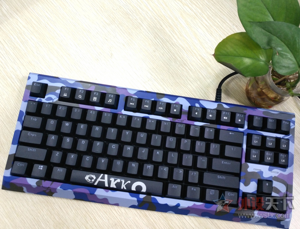 �൱���޵�����è������������Akko Camo 87���Բʻ�е���̿������