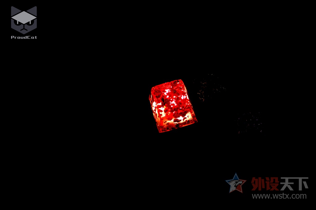 �𱻽����ɱ���˫�� ��ʵ��������𲭵�.