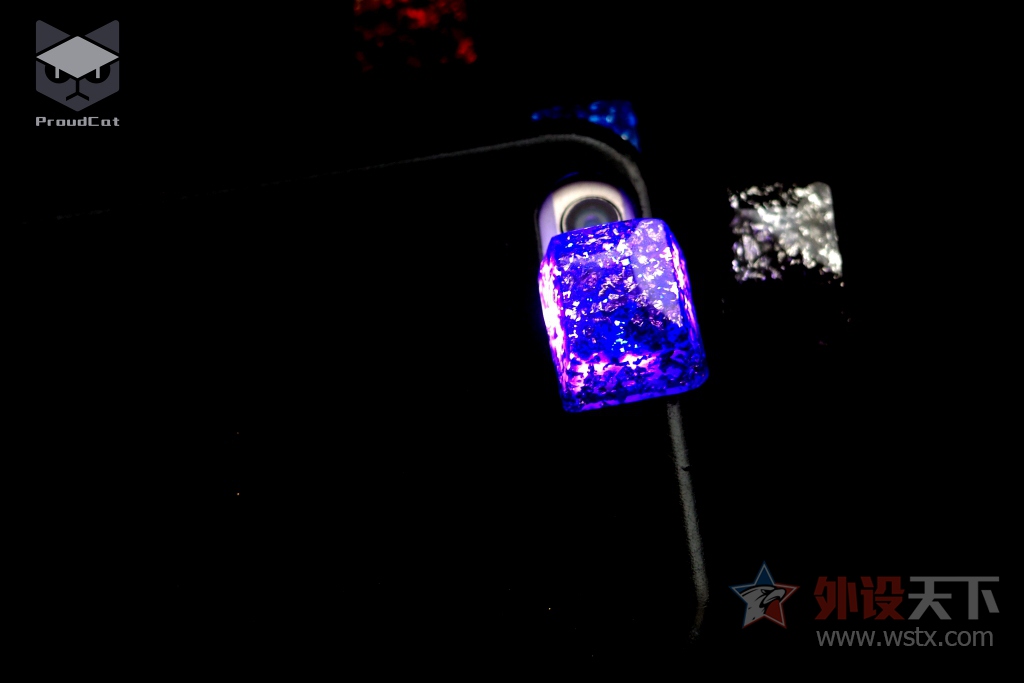 �𱻽����ɱ���˫�� ��ʵ��������𲭵�.