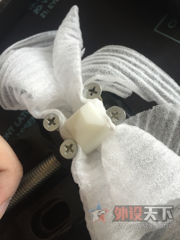 �𱻽����ɱ���˫�� ��ʵ��������𲭵�.