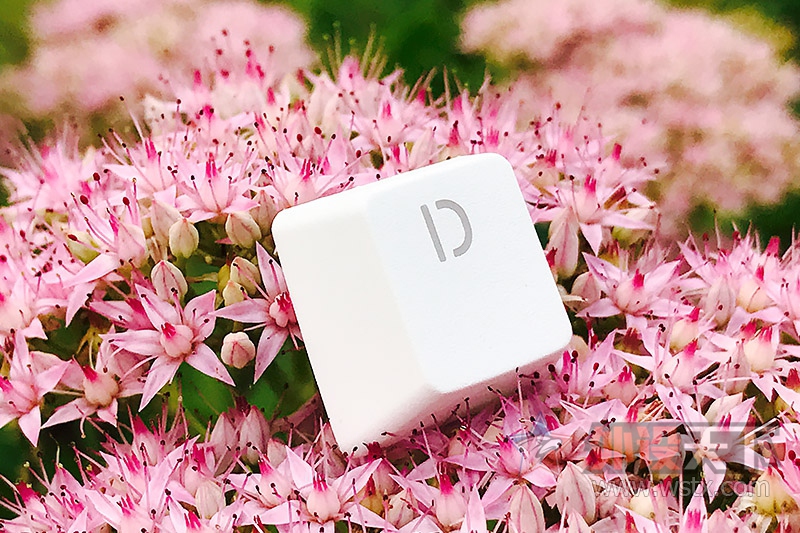 �峺�����죬��Ͼ�İ��ơ���GANSS GK87ϵ����ɫ���е���̼���ͼ��&nbsp;