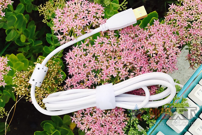 �峺�����죬��Ͼ�İ��ơ���GANSS GK87ϵ����ɫ���е���̼���ͼ��&nbsp;