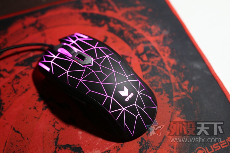 ���õ��������-RAPPO V26��������̸