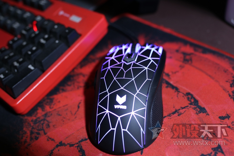 ���õ��������-RAPPO V26��������̸