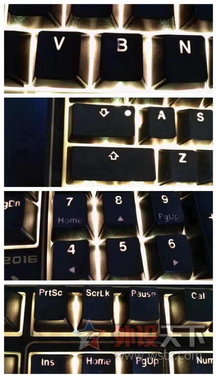 һDUCKY ħѼ̷