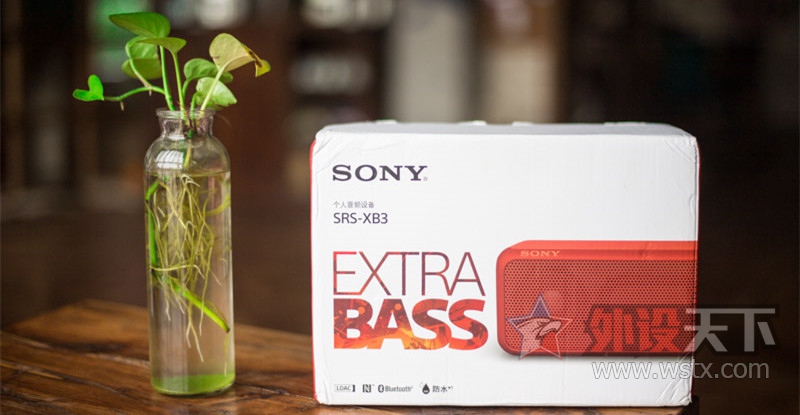 ���ܴ󷨵�����-����SRS-XB3ʹ������