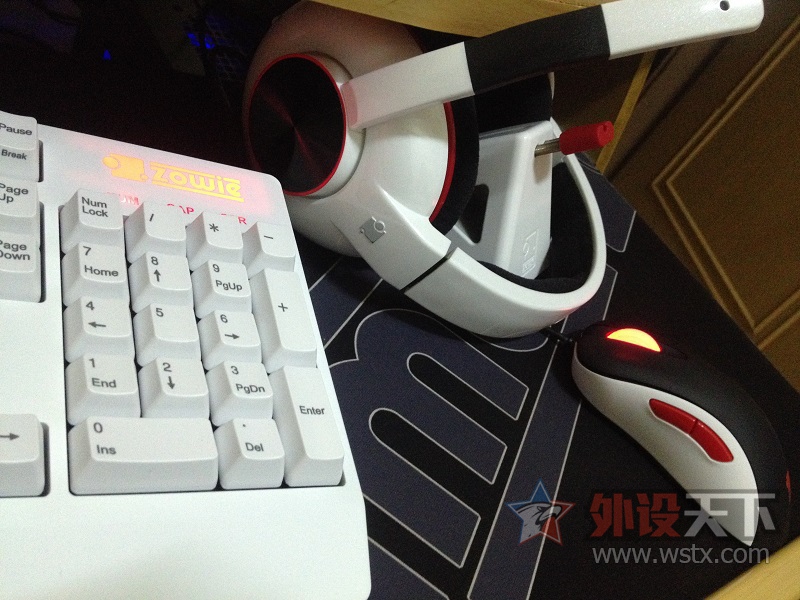 ����㣡��ֻ��һ���߼�ZOWIE CAMADE�߼С�BENQ�桿