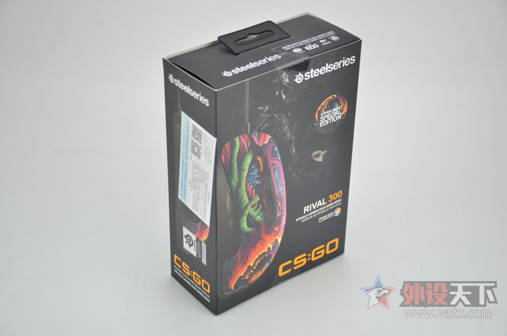 ƤطսCS:GORIVAL 300