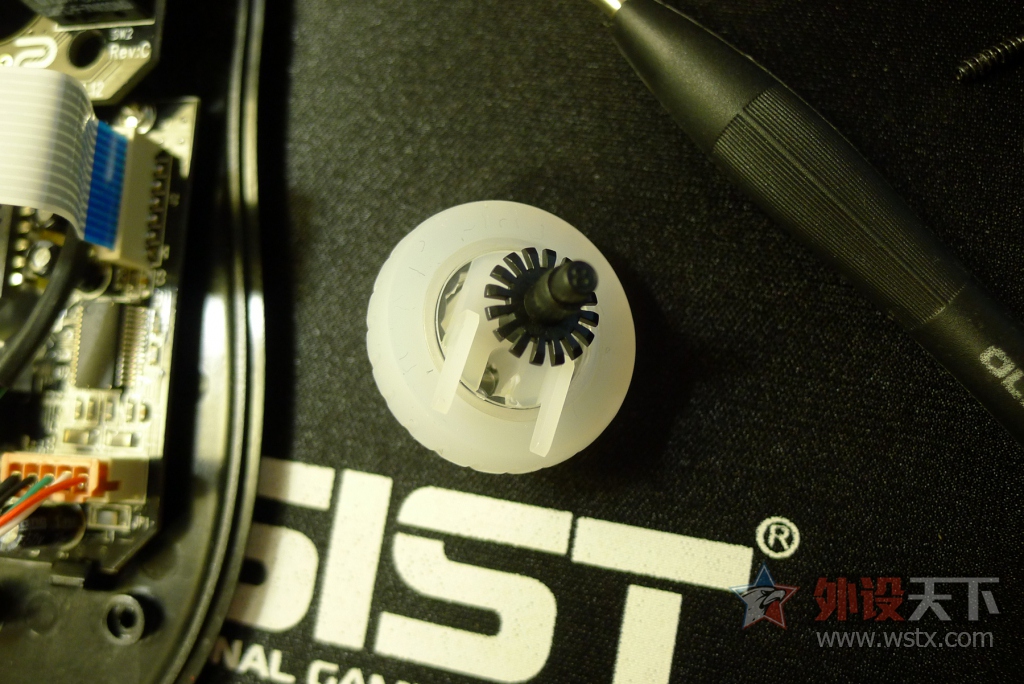 ����һֻIE������   zowie-ec-1a����⻻΢��