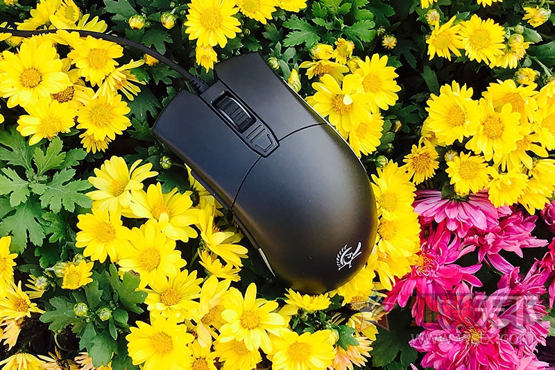 ħѼDucky Secret MϷͼͼ͵ĿɴѼ