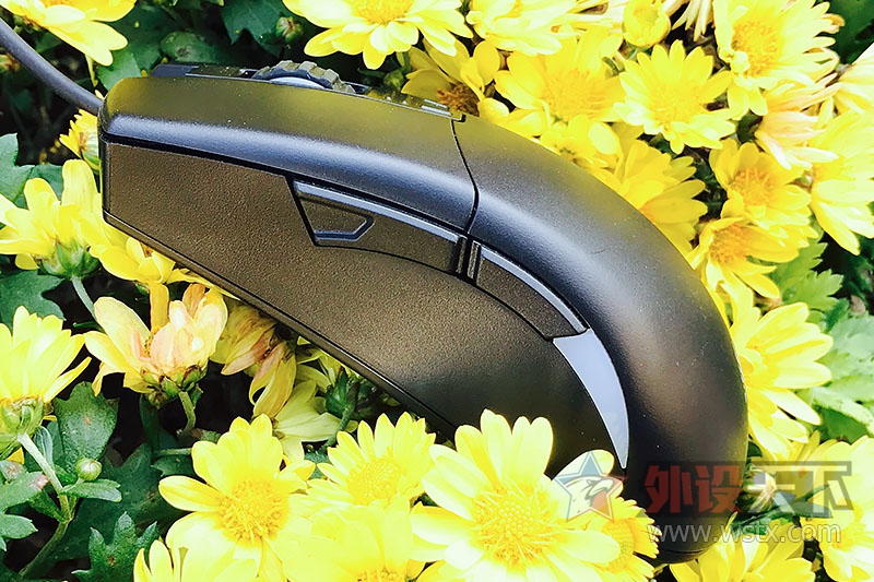 ħѼDucky Secret MϷͼͼ͵ĿɴѼ