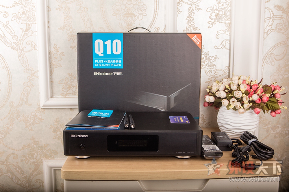 ֧��BT���أ�������Q10 Plus 4K��������飡