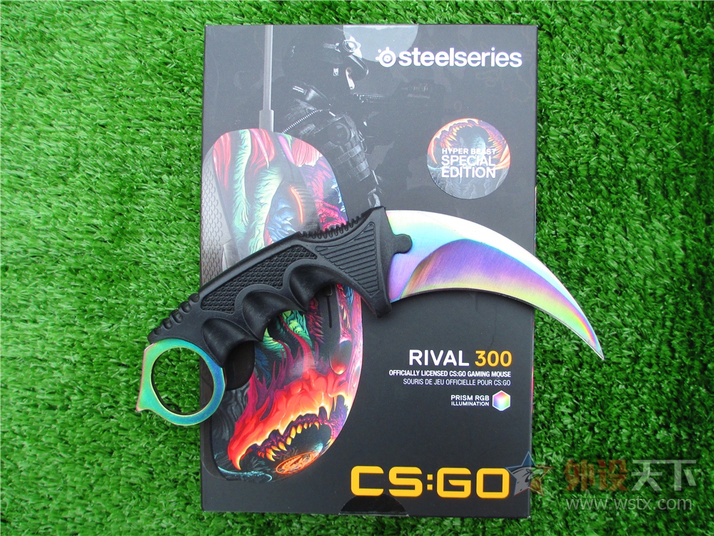 Rival 300 CS:GOŭҰ ͼ