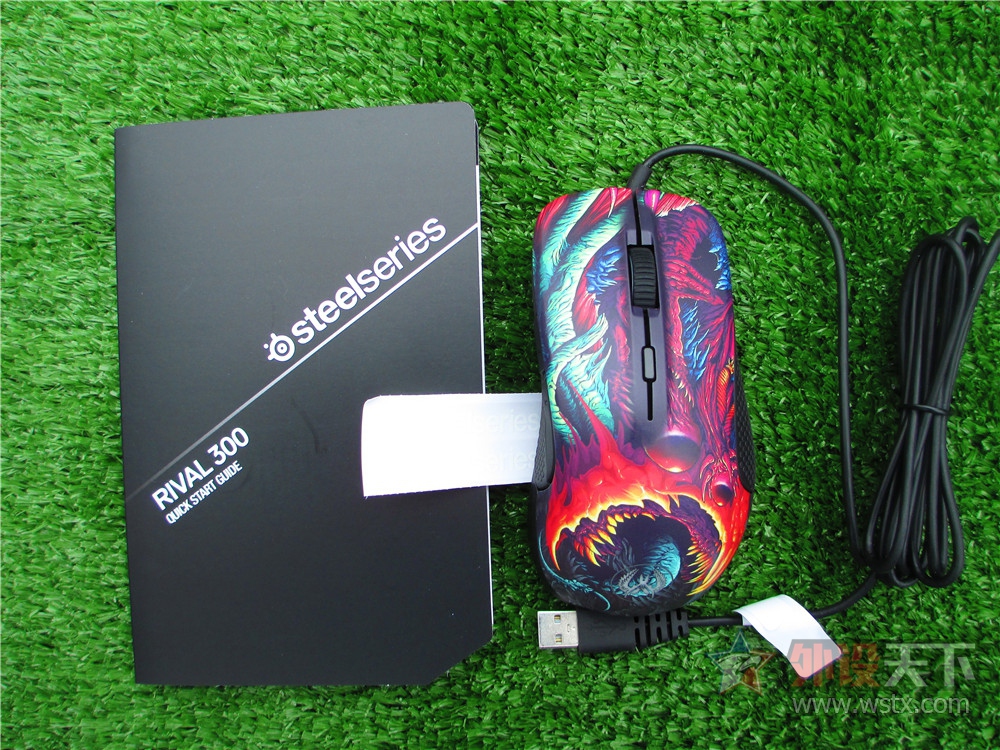 Ѿãڵȵ㣡Rival 300 CS:GOŭҰް