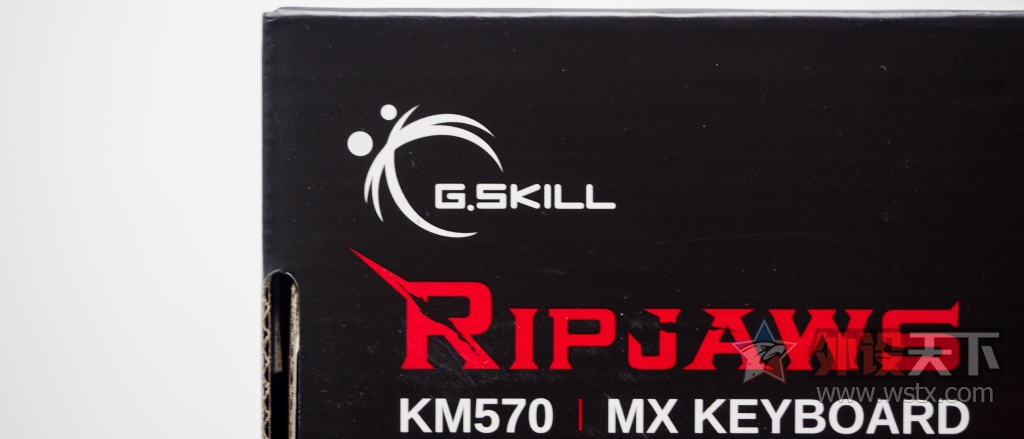 ӡG.SKILL RIPJAWS KM570⣺һûĸ