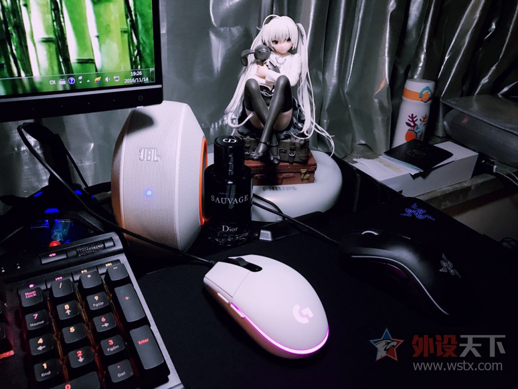 �������֯��浽�� ˳�����Ͽɰ������һֻ
