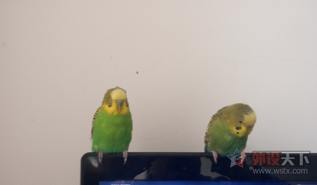 ������ҵ����¥�н�����