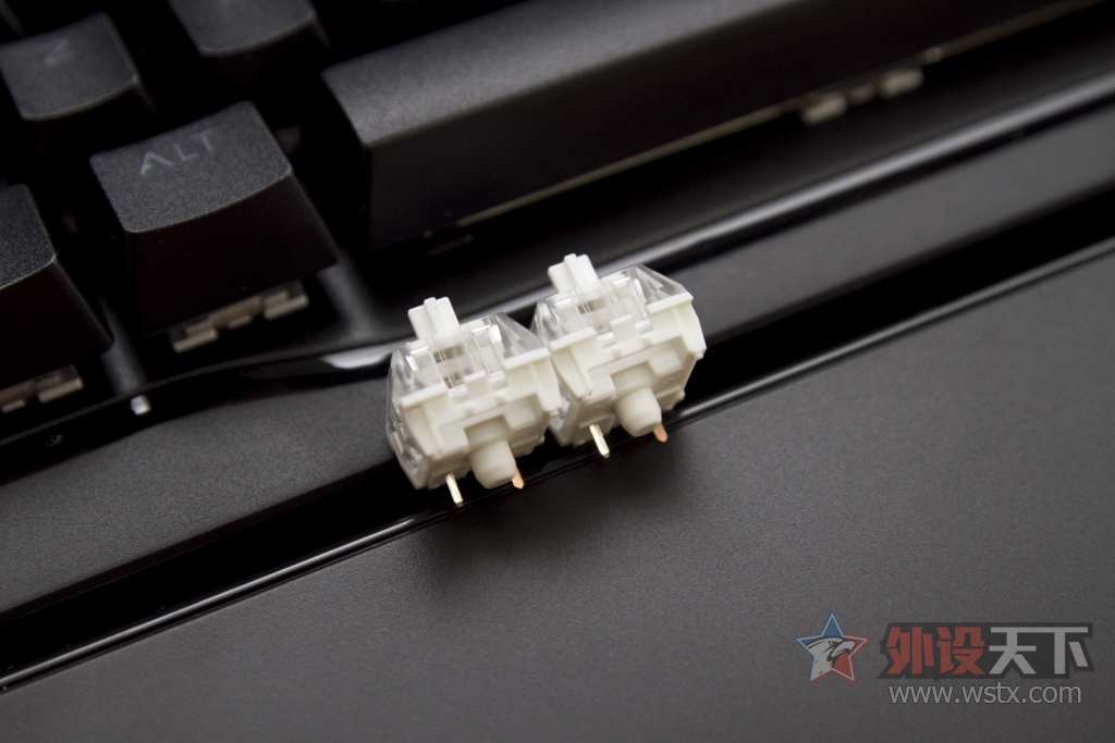 �羺���棬��ϯ���������˿ɻ����е���̳�����