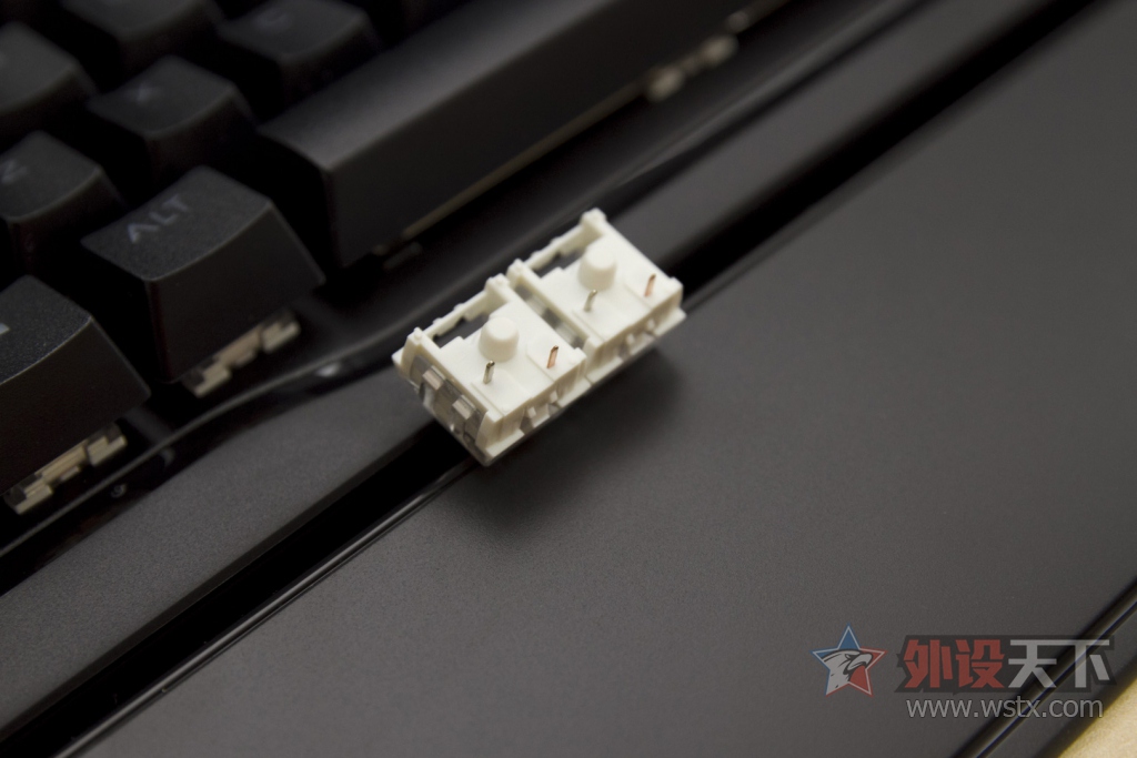 �羺���棬��ϯ���������˿ɻ����е���̳�����