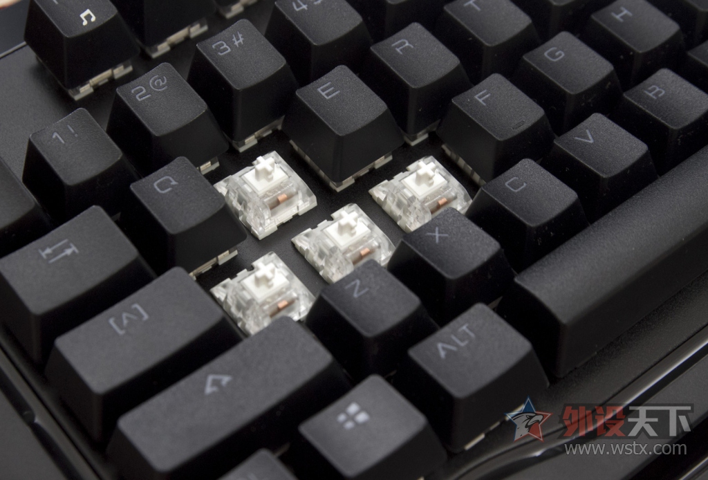 �羺���棬��ϯ���������˿ɻ����е���̳�����