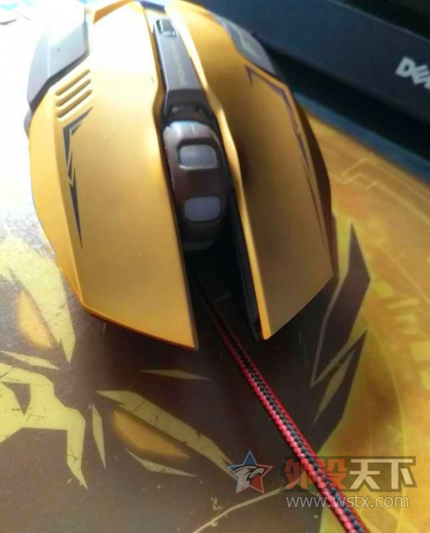 ��ʥ���� �˲����������������