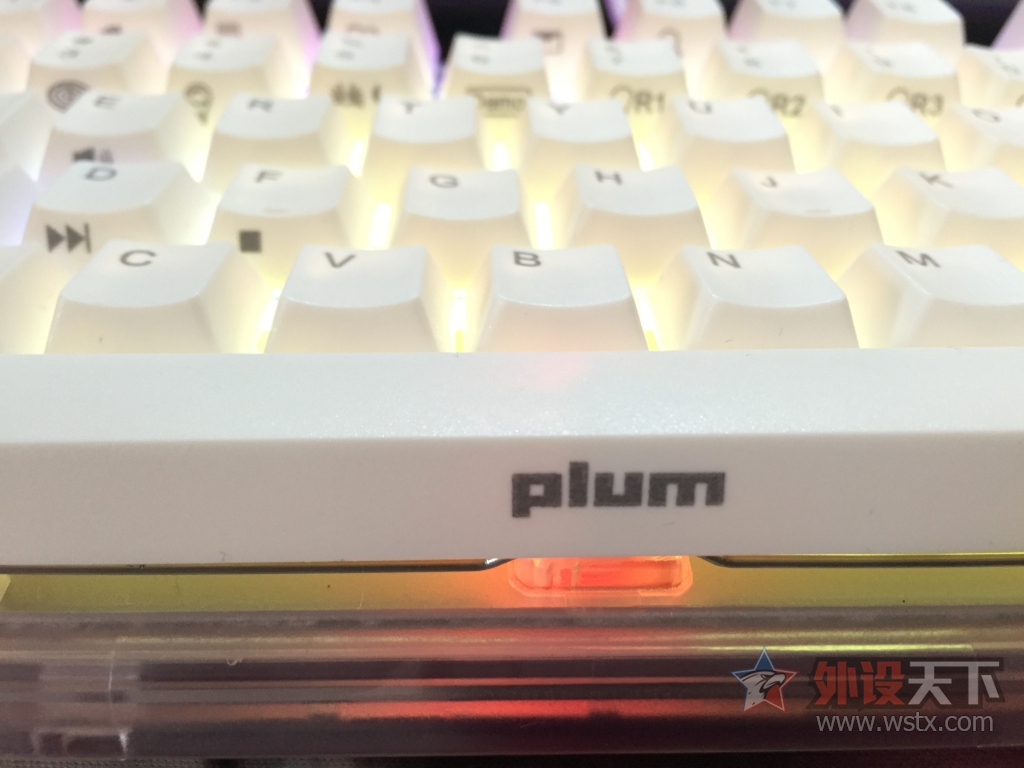 ݳ֮顪PLUM87ˮ