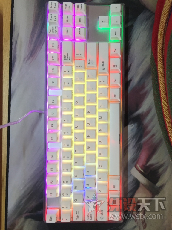 ݳ֮顪PLUM87ˮ