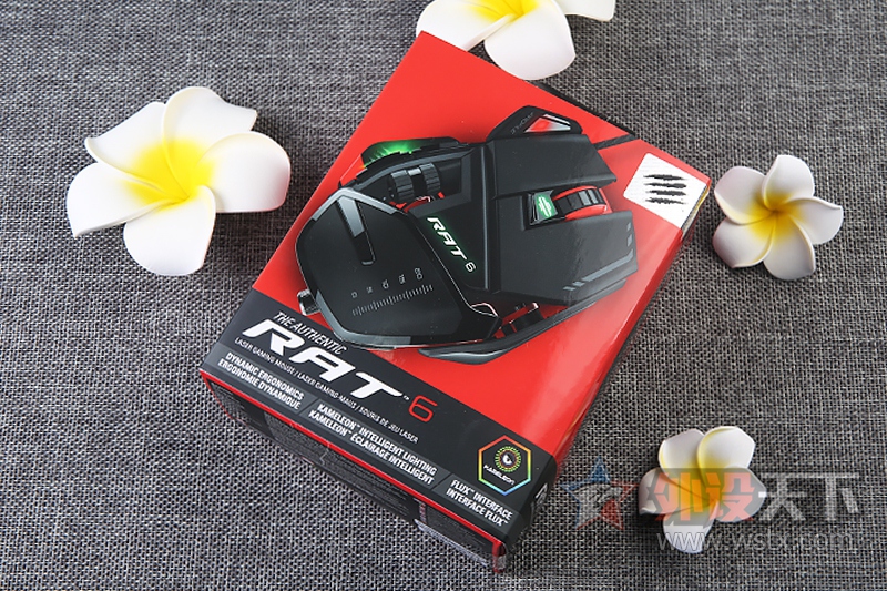 ߶Сʨ Mad Catz RAT6 ʹ