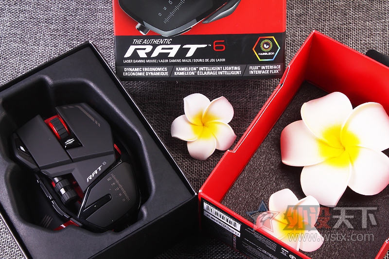 ߶Сʨ Mad Catz RAT6 ʹ