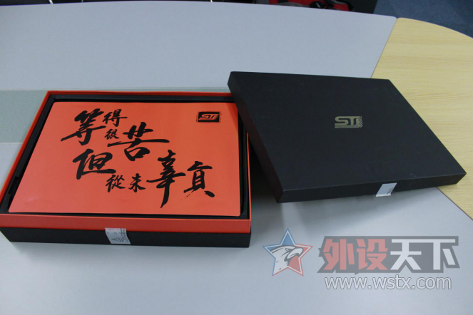 ����ST Pro������ʹ������