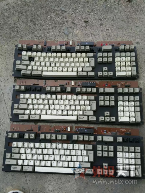 ͷ-GMK1953Żɷ
