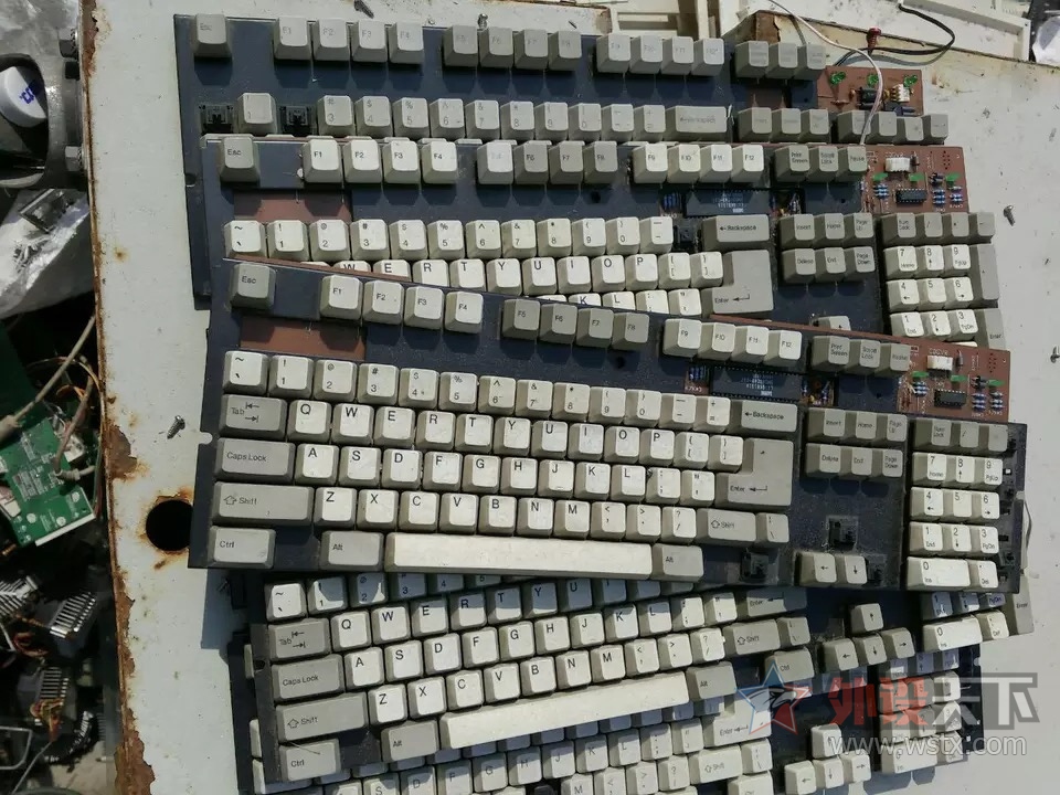 ͷ-GMK1953Żɷ