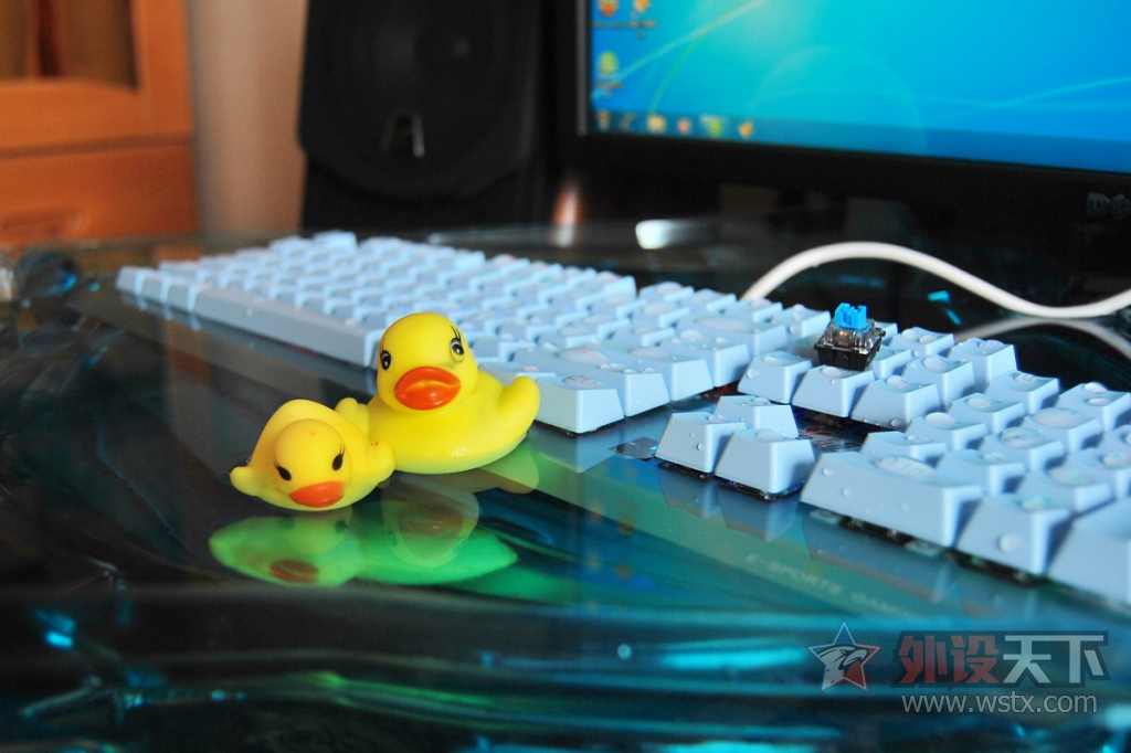 ʷǿе̽ˮϷʵ顪ط֮ӥе