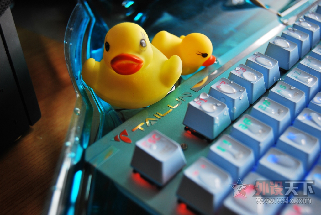 ʷǿе̽ˮϷʵ顪ط֮ӥе