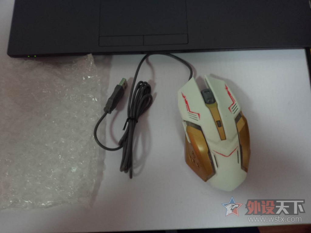 �ѳ����������Ա����