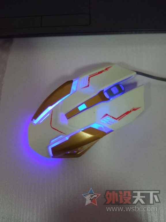 �ѳ����������Ա����