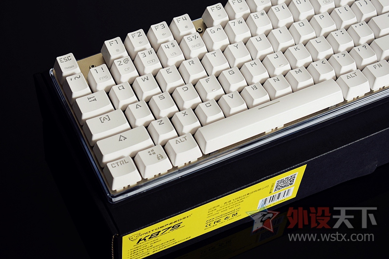 �м��� ����Ŀ����Ħ��K87S RGB��е����������