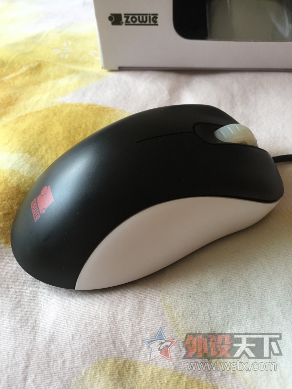 ���������ѳ���