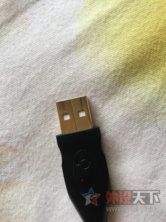 ���������ѳ���