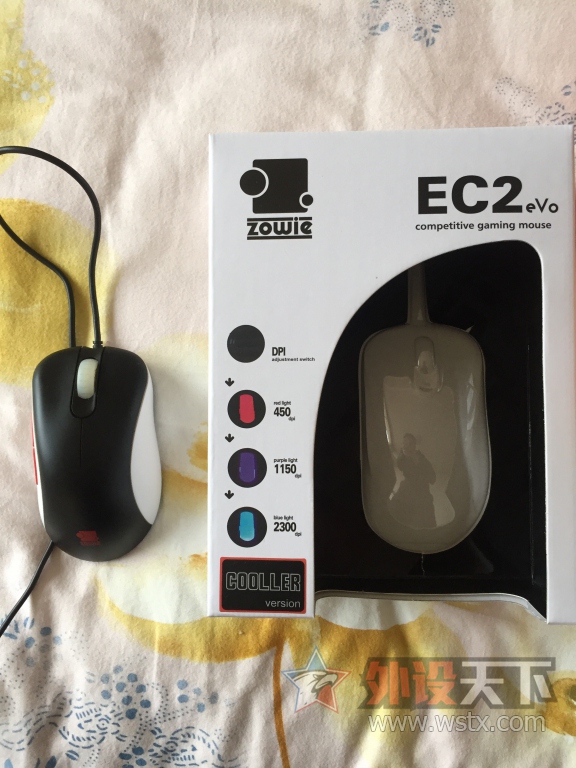 ���������ѳ���