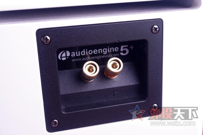 һʱ--- Audioengine棩A5+