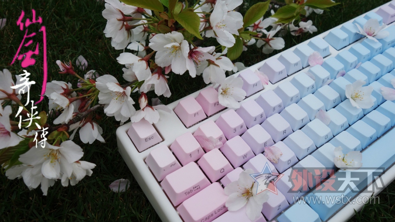 ʮֻ㡣