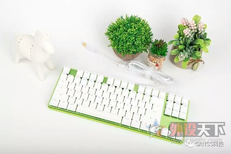 ������Ĳ�ľ�̣������ҵķ�����------ganss GK 87��������׼���е���̲���