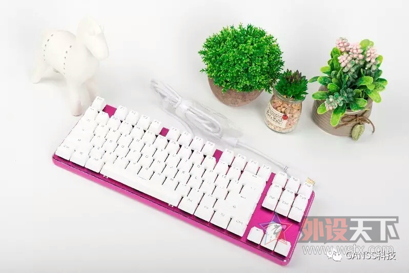 ������Ĳ�ľ�̣������ҵķ�����------ganss GK 87��������׼���е���̲���