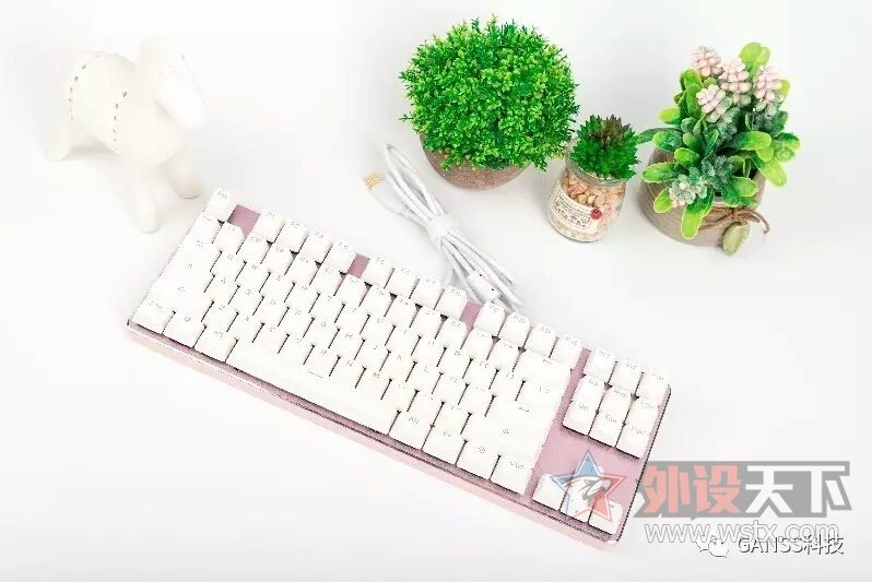 ������Ĳ�ľ�̣������ҵķ�����------ganss GK 87��������׼���е���̲���