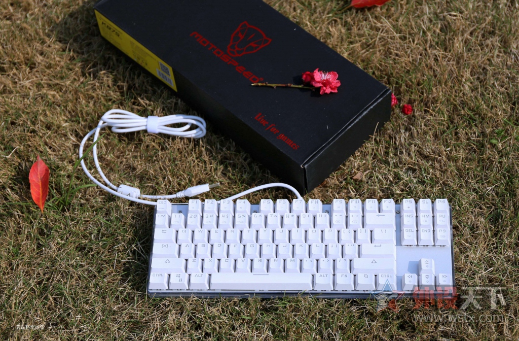 ŲʺᡪħK87S RGB羺е[ԭ]